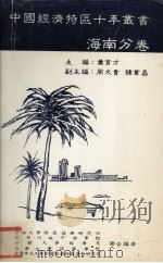 中国经济特区十年丛书海南分卷（1990 PDF版）