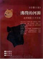 中华大地  沸腾的河源  改革开放15年史册  中英文对照   1994  PDF电子版封面  7562308071  刘建，陈锦珠主编 