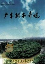 广东树木奇观（1998 PDF版）
