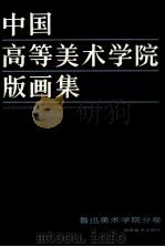 中国高等美术学院版画集  鲁迅美术学院分卷   1988  PDF电子版封面  7535601014  路坦主编 