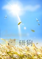 当代文学史纲     PDF电子版封面    《当代文学史纲》编写组 