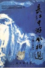 长江中游风物选（1996 PDF版）