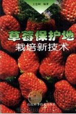 草莓保护地栽培新技术   1999  PDF电子版封面  7533124073  王忠和编著 
