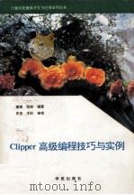 Clipper高级编程技巧与实例   1993  PDF电子版封面  7507708012  廖斌，张林编著 