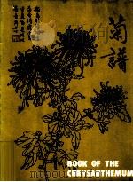 中国花卉画基础  菊谱   1979  PDF电子版封面    周士心编绘 