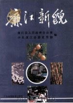 廉江新貌（1989 PDF版）
