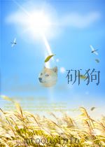福州历史人物第十一辑     PDF电子版封面     