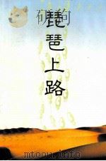 琵琶上路   1994  PDF电子版封面    戴汉光著 