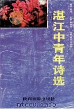 湛江中青年诗选（1996 PDF版）