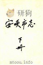 安顺市志  下（1995 PDF版）