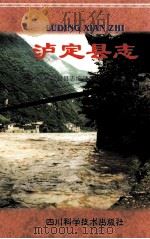 泸定县志（1999 PDF版）