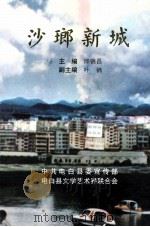 沙琅新城（1996 PDF版）
