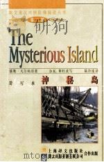 神秘岛  简写本   1998  PDF电子版封面  7532719863  （法）儒勒·凡尔纳（Jules Verne）著；（英）D.K 