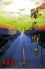 路在脚下  再就业问题研究   1998  PDF电子版封面  7810423223  抚顺市社会科学院等编写 