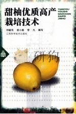 甜柚优质高产栽培技术   1999  PDF电子版封面  7539016043  邓毓华等编写 
