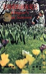 克林索的最后夏日（1975 PDF版）