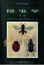 昆虫学  下（1981 PDF版）