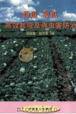 西瓜甜瓜高效栽培及病虫害防治（1998 PDF版）