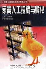 家禽人工授精与孵化   1999  PDF电子版封面  753592218X  邝荣禄主编 