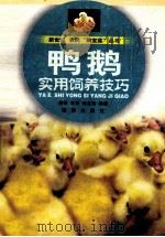 鸭、鹅-实用饲养技巧（1999 PDF版）