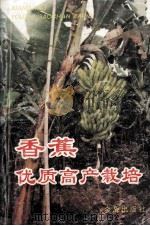 香蕉优质高产栽培   1995  PDF电子版封面  7508200373  黄秉智编著 