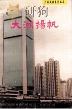 大潮扬帆   1995  PDF电子版封面  7543810603  广州铁路集团公司宣传部编 