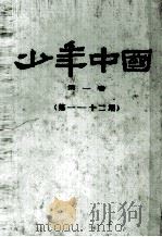 少年中国  第1卷  第1-12期   1980  PDF电子版封面    北京少年中国学会 