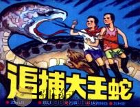 追捕大王蛇（1983 PDF版）