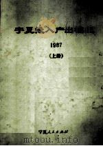 宁夏投入产出模型1987  上     PDF电子版封面    宁夏回族自治区统计局编 