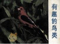 有趣的鸟类（1981 PDF版）