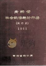 青海省社会经济统计年鉴  试行本  1985   1985  PDF电子版封面     