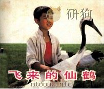 电影连环画册  飞来的仙鹤（1984 PDF版）