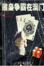赌博人生  又名，赌枭争霸在澳门   1998  PDF电子版封面  7806323481  唐告明，钟连城著 
