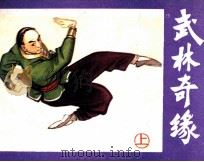 武林奇缘  上   1985  PDF电子版封面  80911688  晓波编文；高志武，英文绘画 