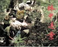 林中迷案（1985 PDF版）