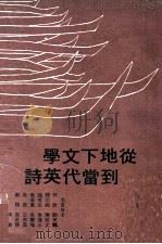 从地下文学到当代英诗   1970  PDF电子版封面    颜元叔，陈祖文等著 