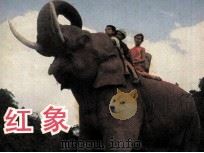 电影连环画册  红象（1983 PDF版）