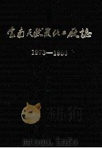 云南天然气化工厂志  1973-1986     PDF电子版封面     