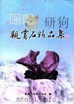 昭通观赏石精品集     PDF电子版封面    昭通观赏石协会编 