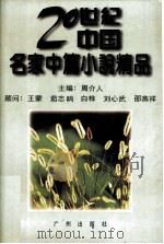 20世纪中国名家中篇小说精品中（1996 PDF版）