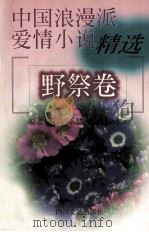 中国现代浪漫派爱情小说  野祭卷（1999 PDF版）