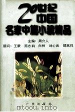 20世纪中国名家中篇小说精品上   1996  PDF电子版封面  7805924589  周介入主编 