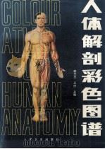 人体解剖彩色图谱（1996 PDF版）