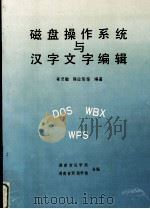 磁盘操作系统与汉字文字编辑   1993.09  PDF电子版封面    姜灵敏主编 