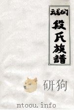 云龙石门段氏族谱     PDF电子版封面     