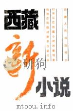 西藏新小说   1989  PDF电子版封面  7223003022  扎西达娃等著 