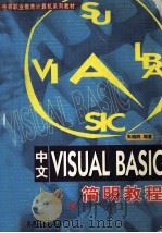 中文VISUAL BASIC简明教程   1999  PDF电子版封面  7111073673  朱晓鸥编著 