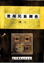 贵州民族调查  之三   1985.10  PDF电子版封面    贵州省民族研究所编 
