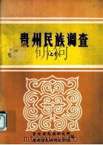 贵州民族调查之十（1993.03 PDF版）