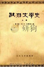 欧洲文学史  上   1964  PDF电子版封面  10019·1764  杨周翰，吴达元，赵萝蕤主编 